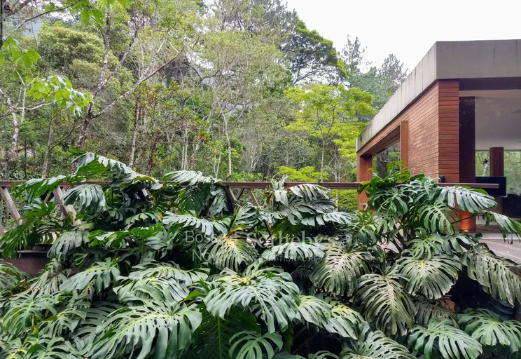 Área Externa - Imagem 13
