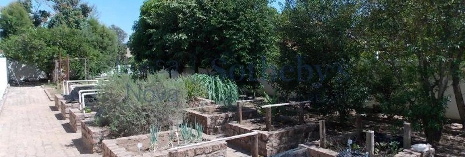 Horta - Imagem 11