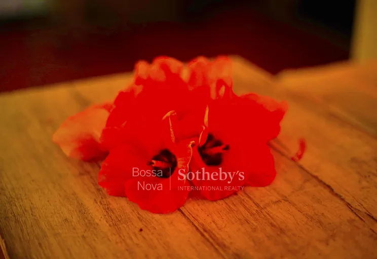 _WM_2631 - Imagem 64