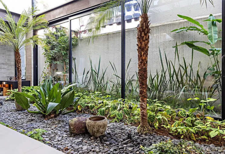 Jardim de inverno - Imagem 5