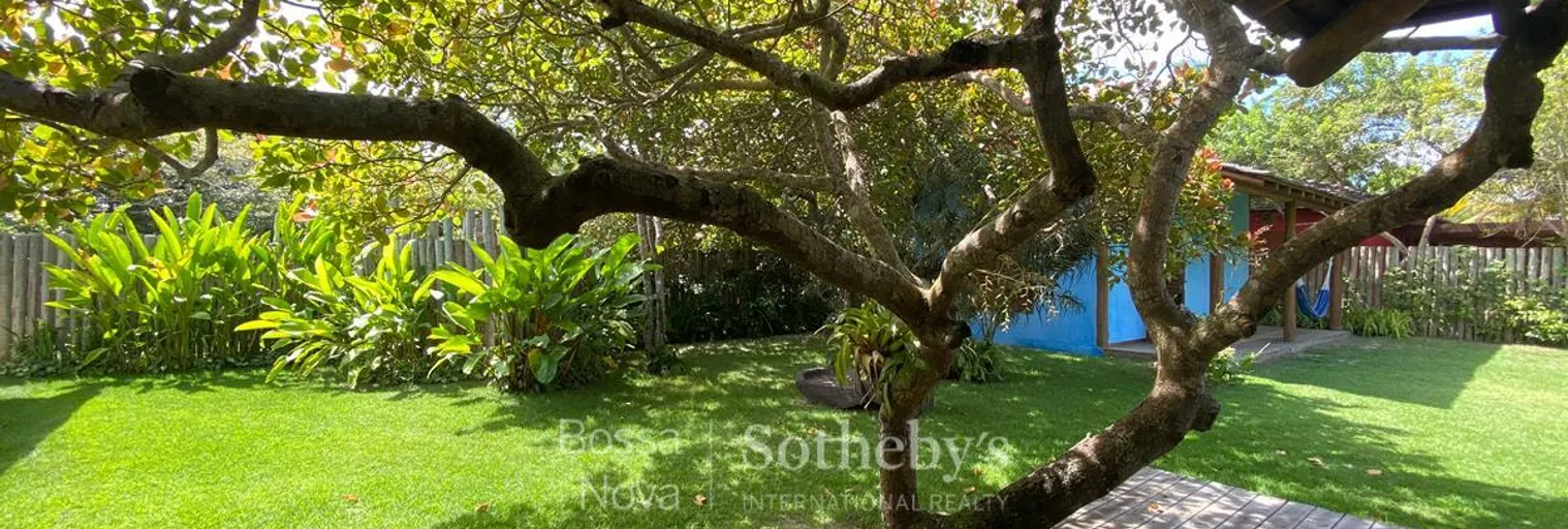 Jardim de inverno - Imagem 9