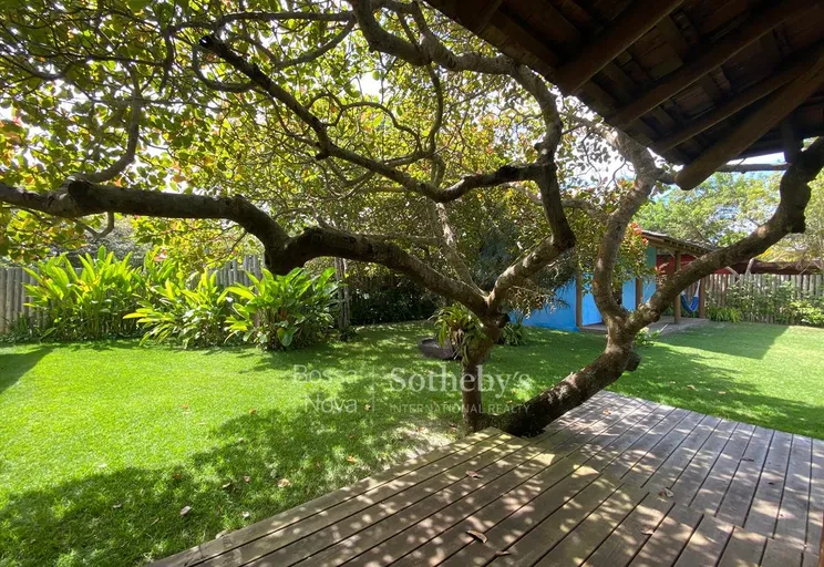Jardim de inverno - Imagem 9