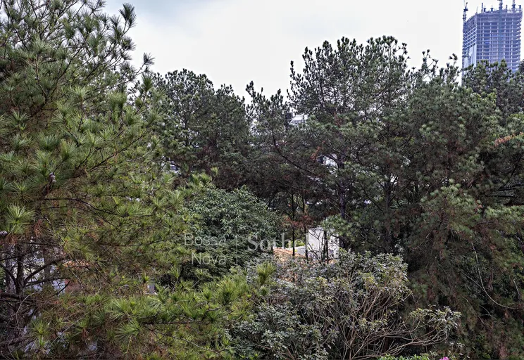 Vista - Imagem 2
