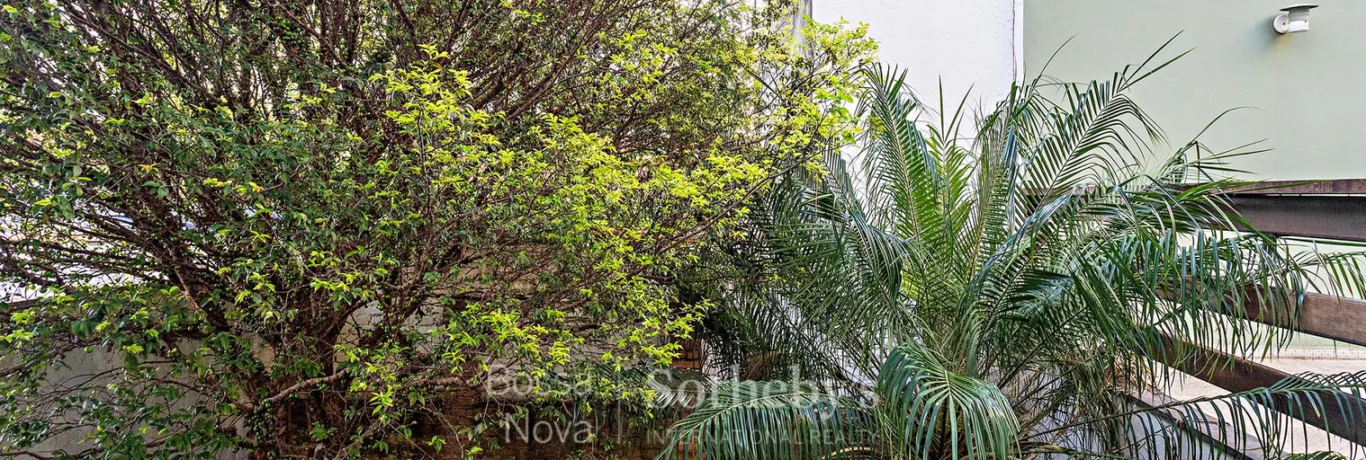 Jardim - Imagem 8