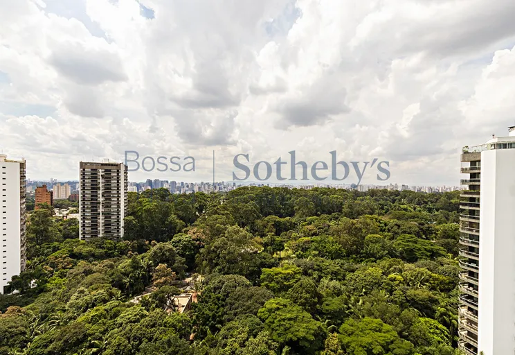 Vista - Imagem 29