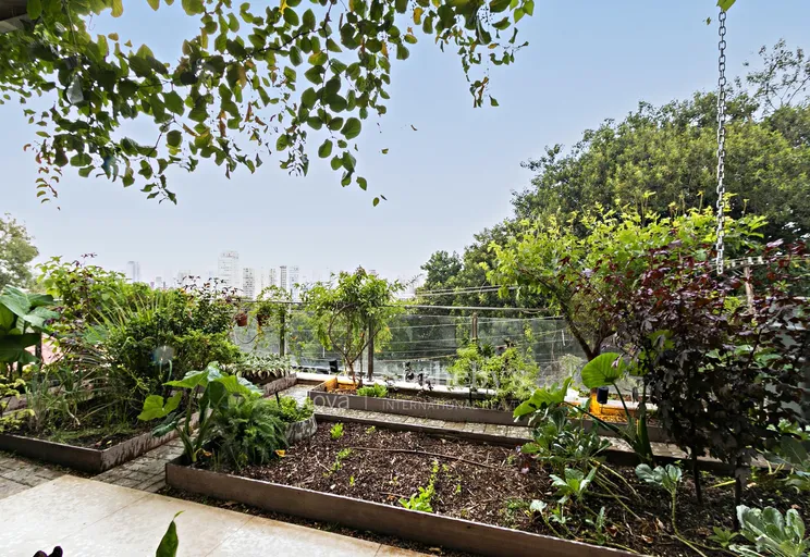 Horta - Imagem 33