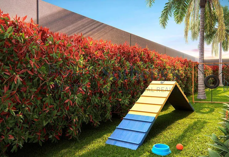 Pet Place - Imagem 7