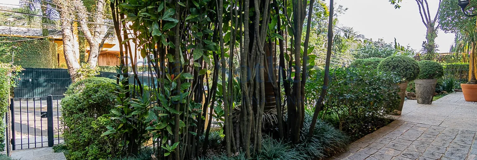 Jardim - Imagem 67