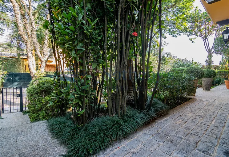 Jardim - Imagem 68
