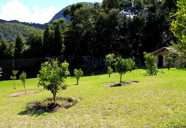 Jardim - Imagem 24