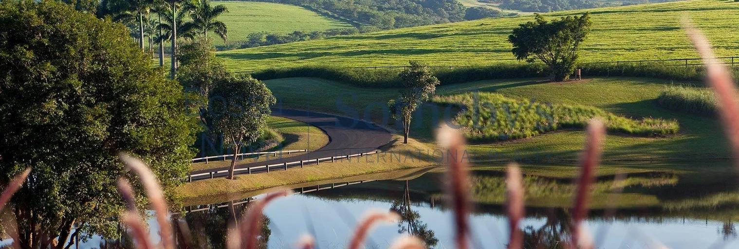 Lago - Imagem 15
