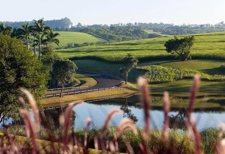 Lago - Imagem 15