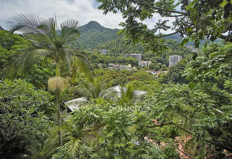 Vista - Imagem 32