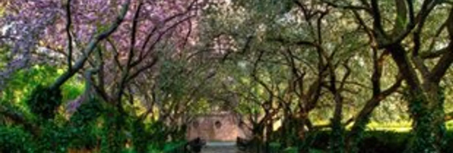 Vista - Imagem 18