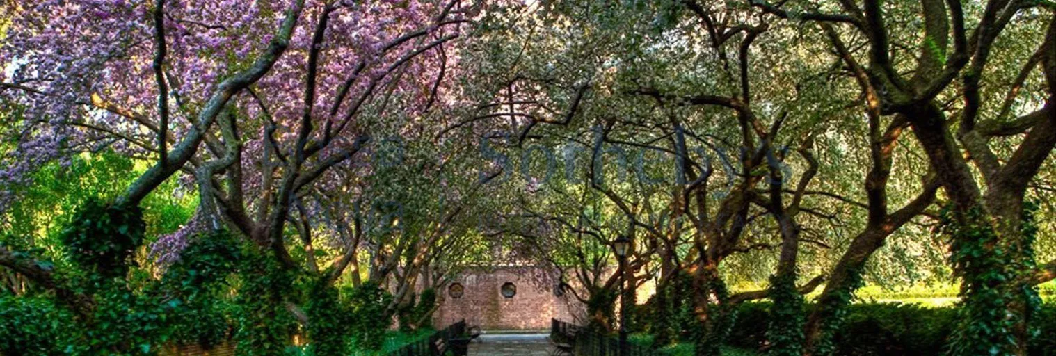 Jardim - Imagem 10
