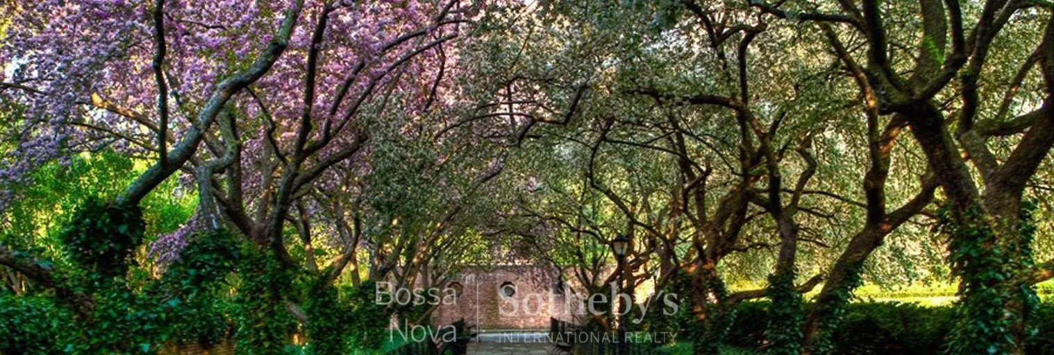 Jardim - Imagem 8