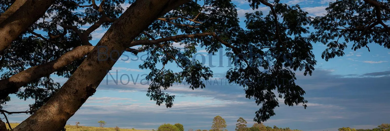 Área Externa - Imagem 6