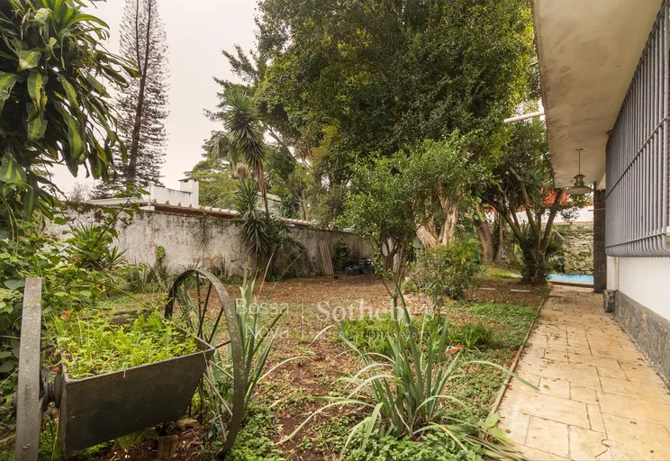 Jardim - Imagem 10