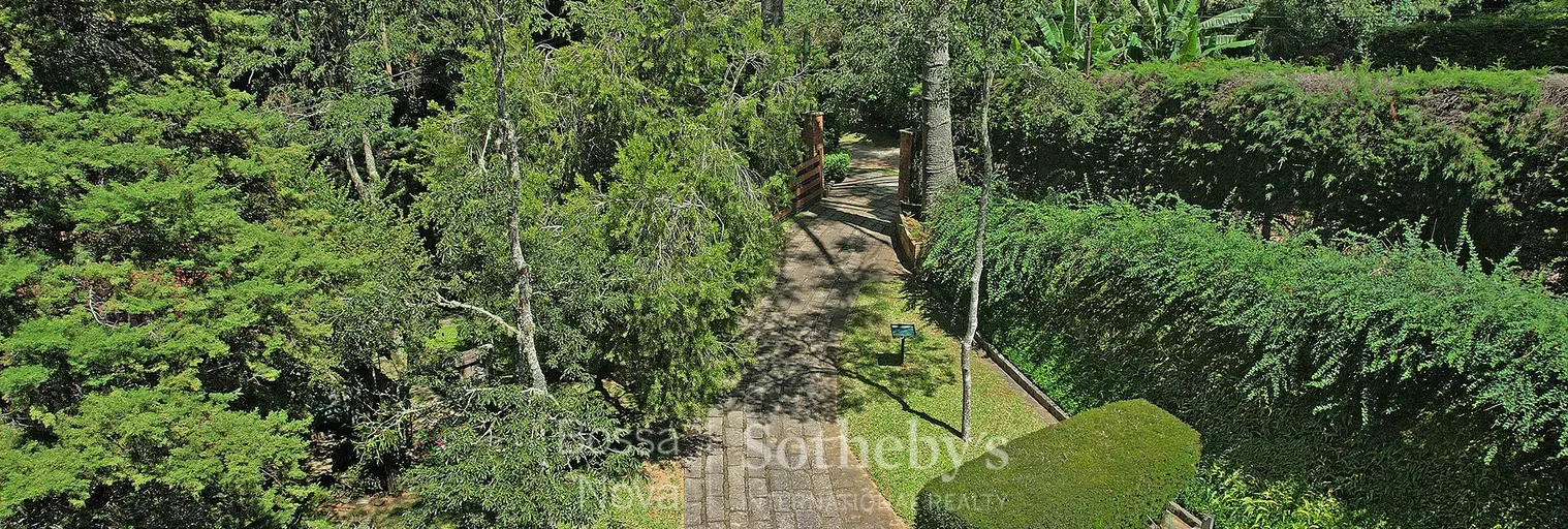Vista - Imagem 60