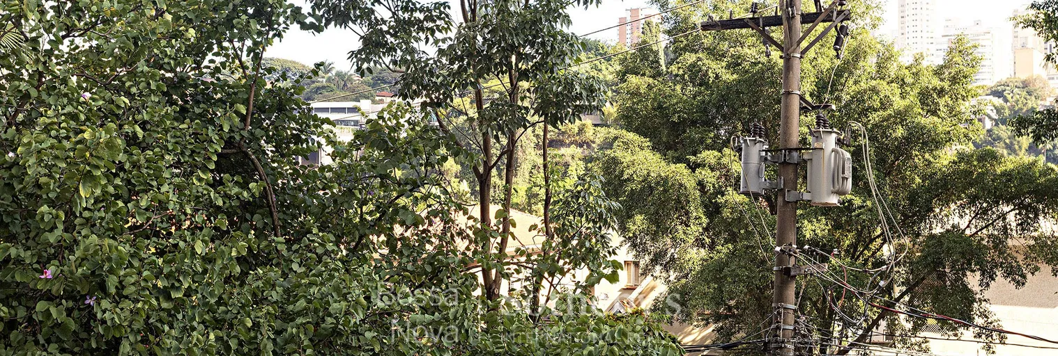 Vista - Imagem 13