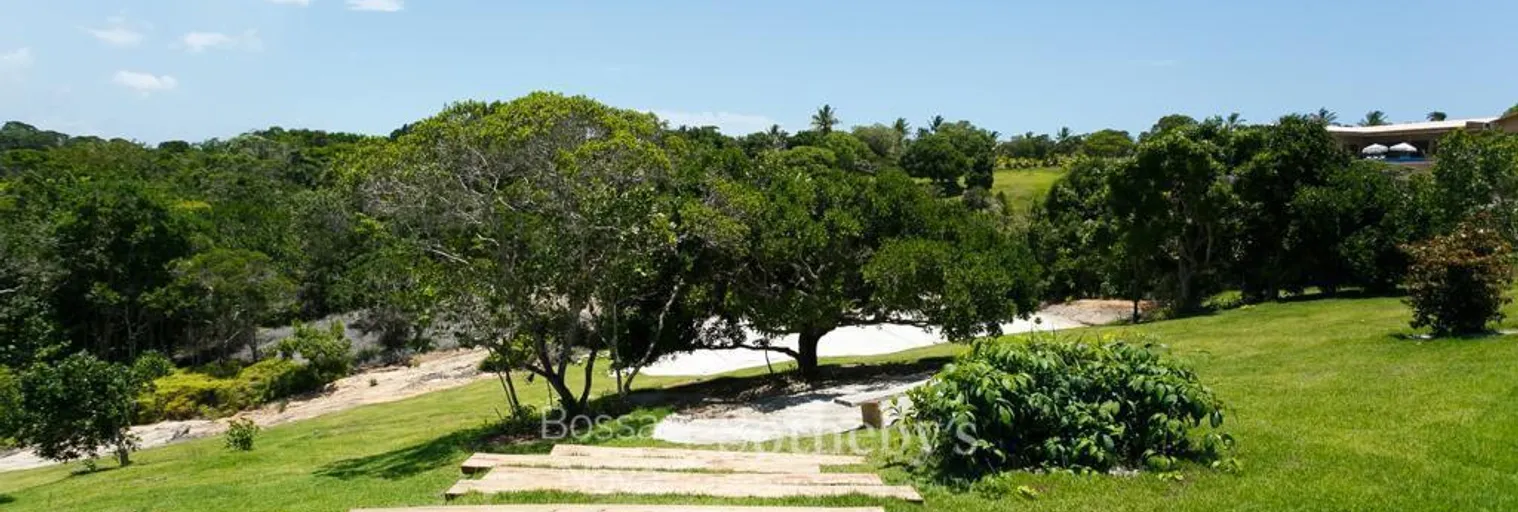 Jardim - Imagem 8
