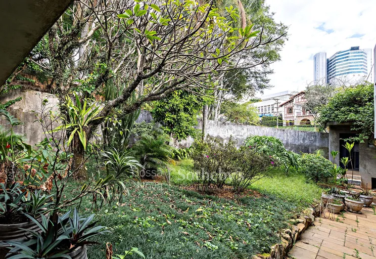 Jardim - Imagem 25