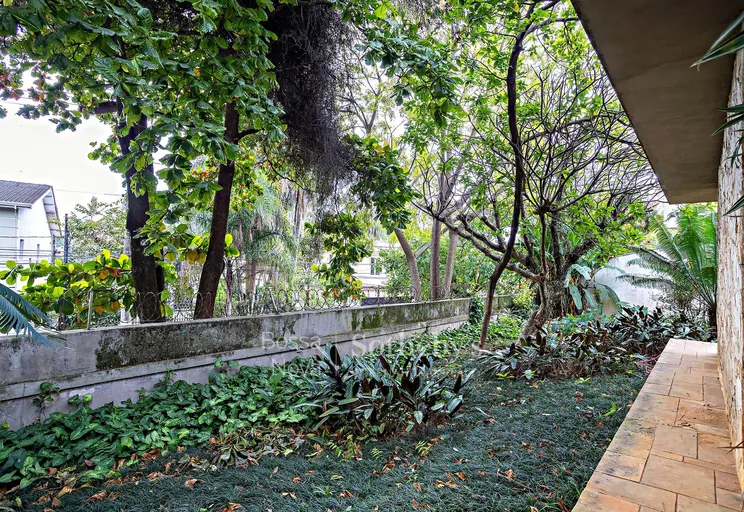 Jardim - Imagem 23