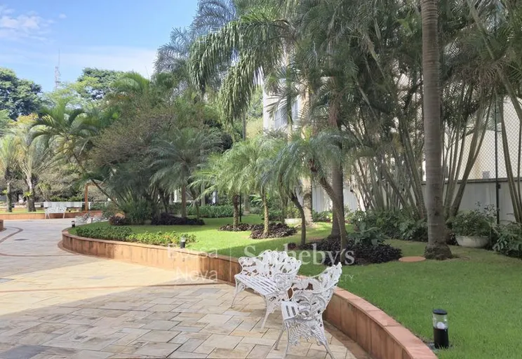 Pátio - Imagem 11
