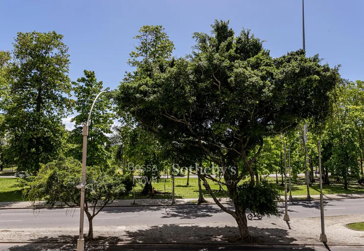 Vista - Imagem 40