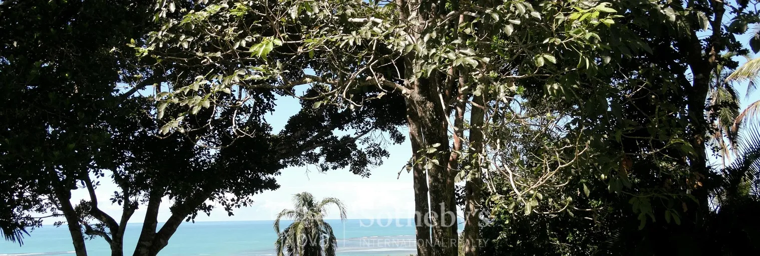 Vista - Imagem 11