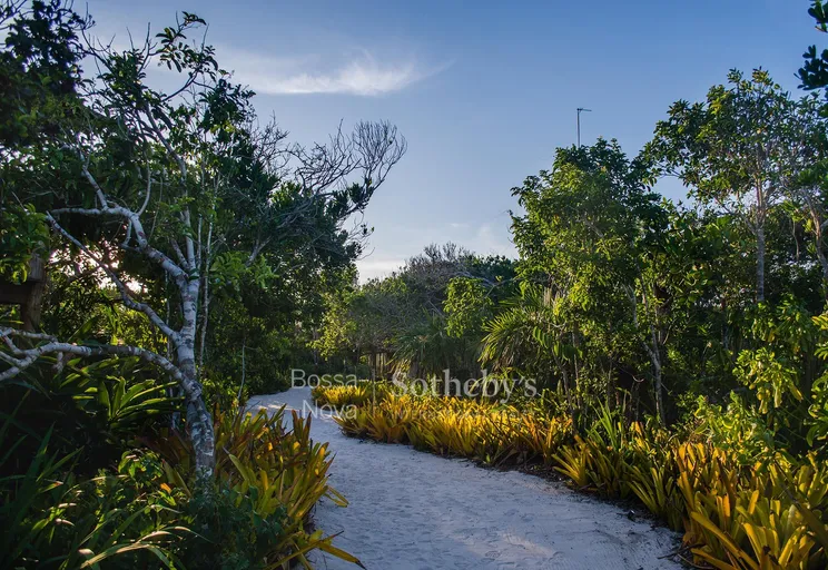 Jardim - Imagem 4