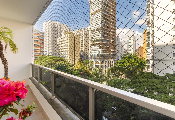 Vista - Imagem 11
