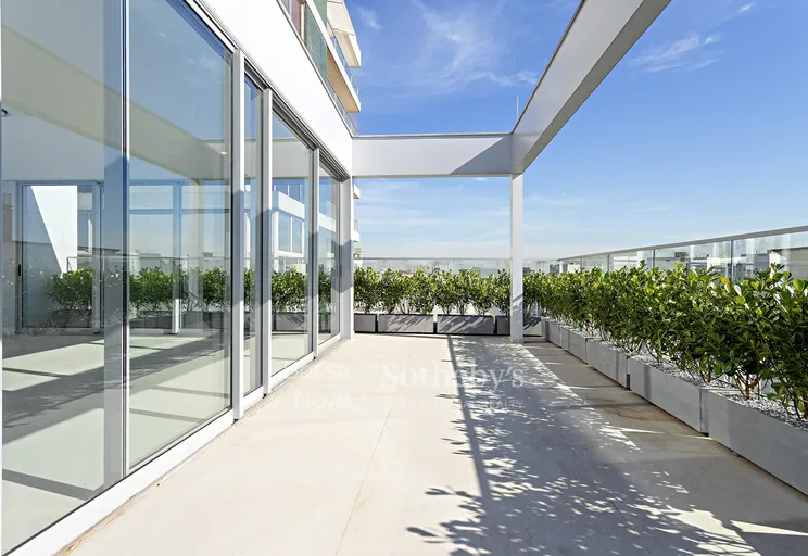 Terraço - Imagem 6