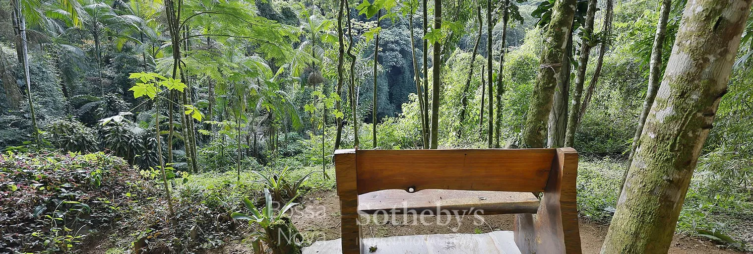 Jardim - Imagem 54