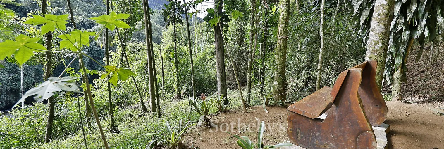 Jardim - Imagem 53