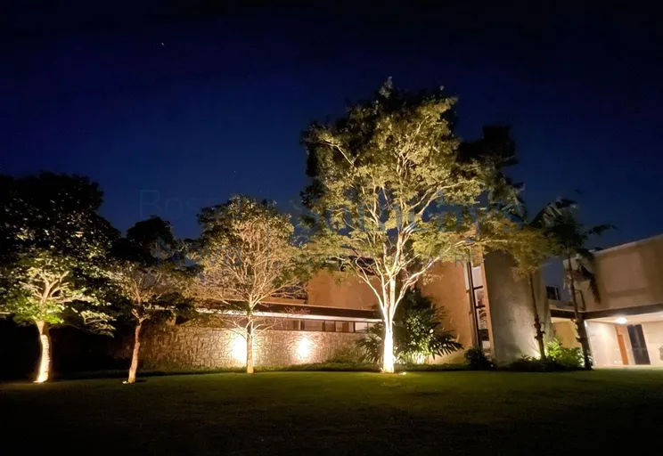 Jardim - Imagem 6