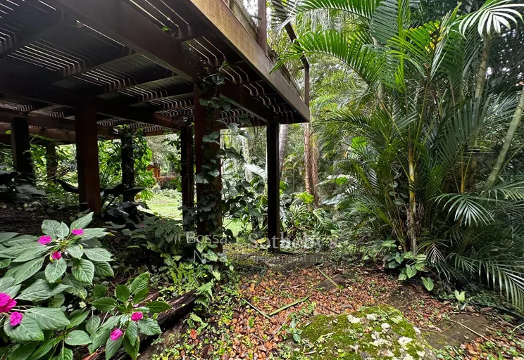 Jardim - Imagem 47