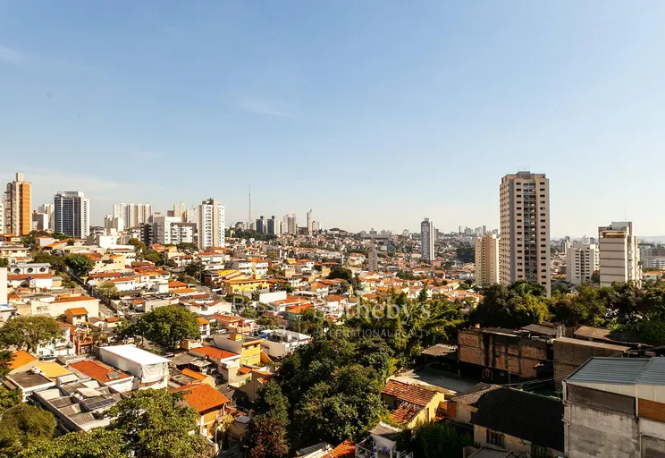 Vista Panorâmica - Imagem 18