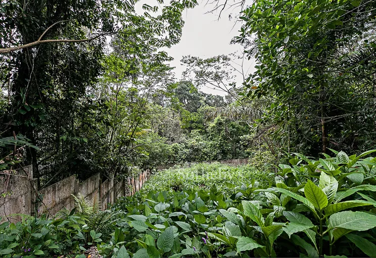 Área Externa - Imagem 5