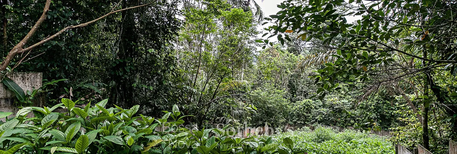 Área Externa - Imagem 5