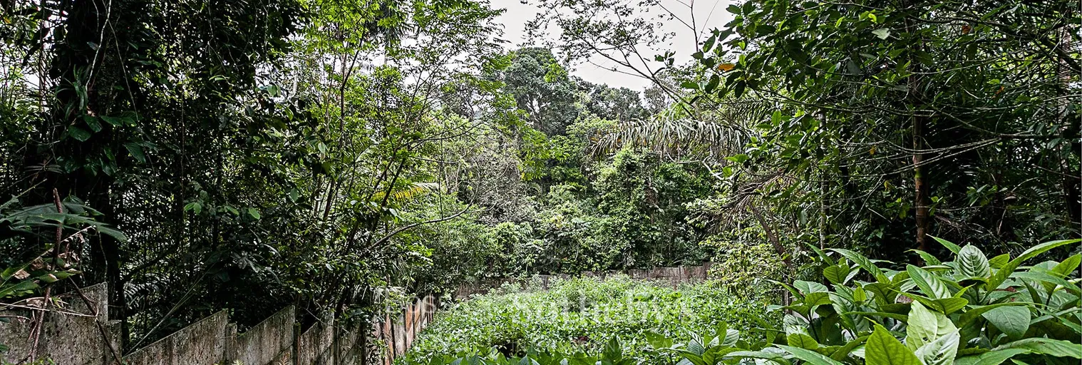 Área Externa - Imagem 6