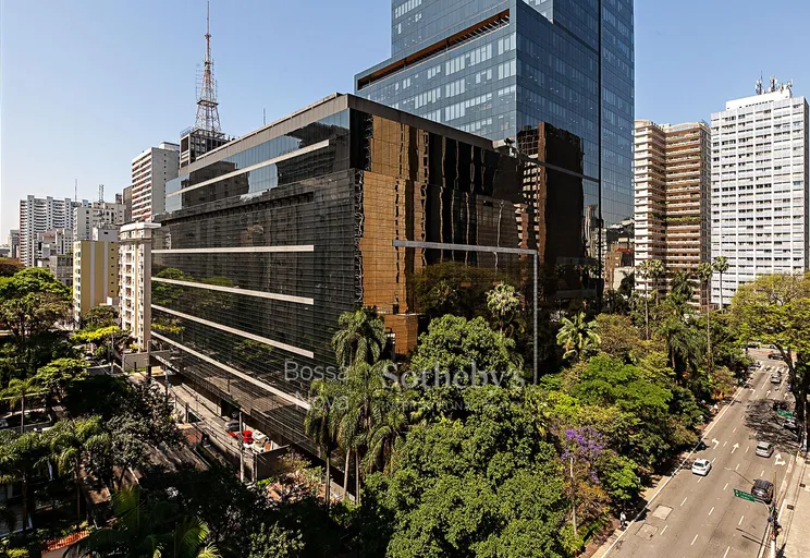 Vista - Imagem 2