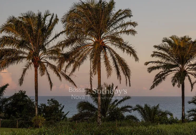 Vista - Imagem 37