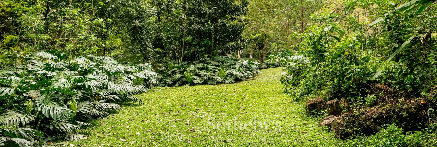 Jardim - Imagem 9