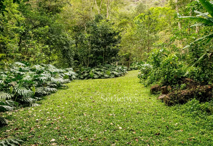 Jardim - Imagem 9