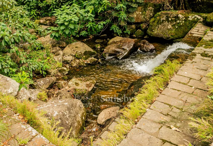 Lago - Imagem 6