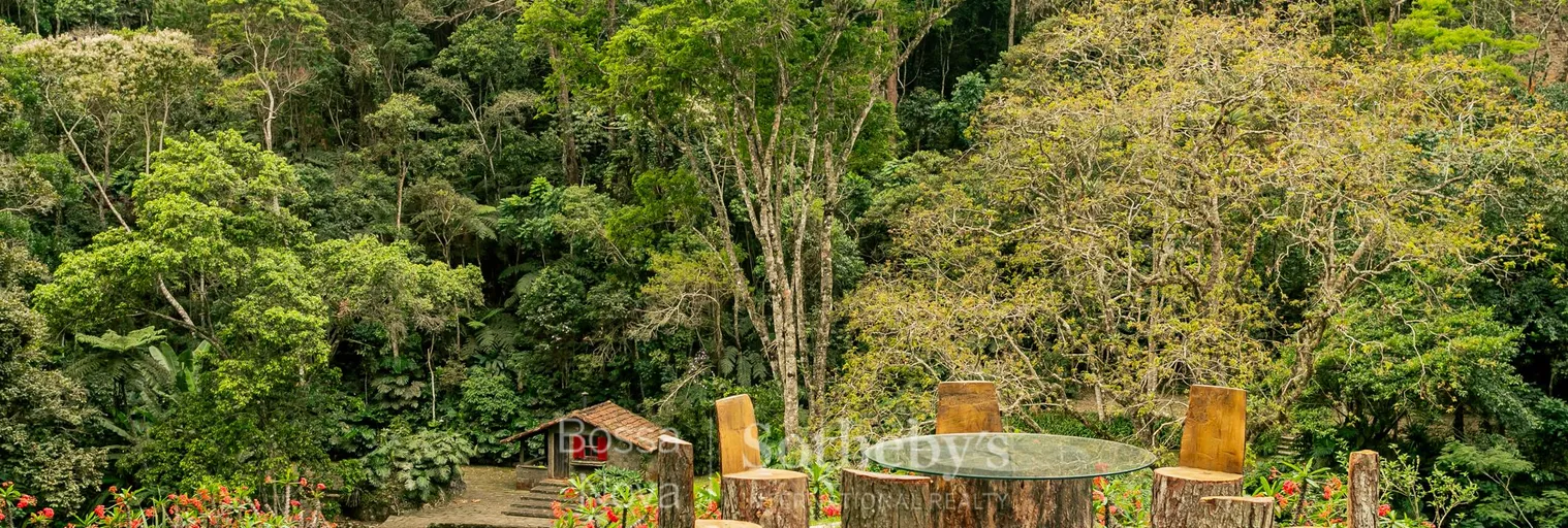 Jardim - Imagem 10