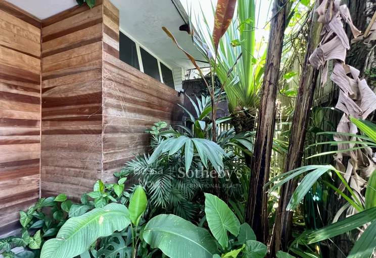 Jardim - Imagem 4