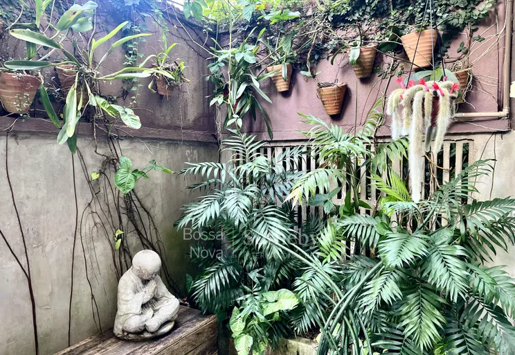 Jardim - Imagem 12