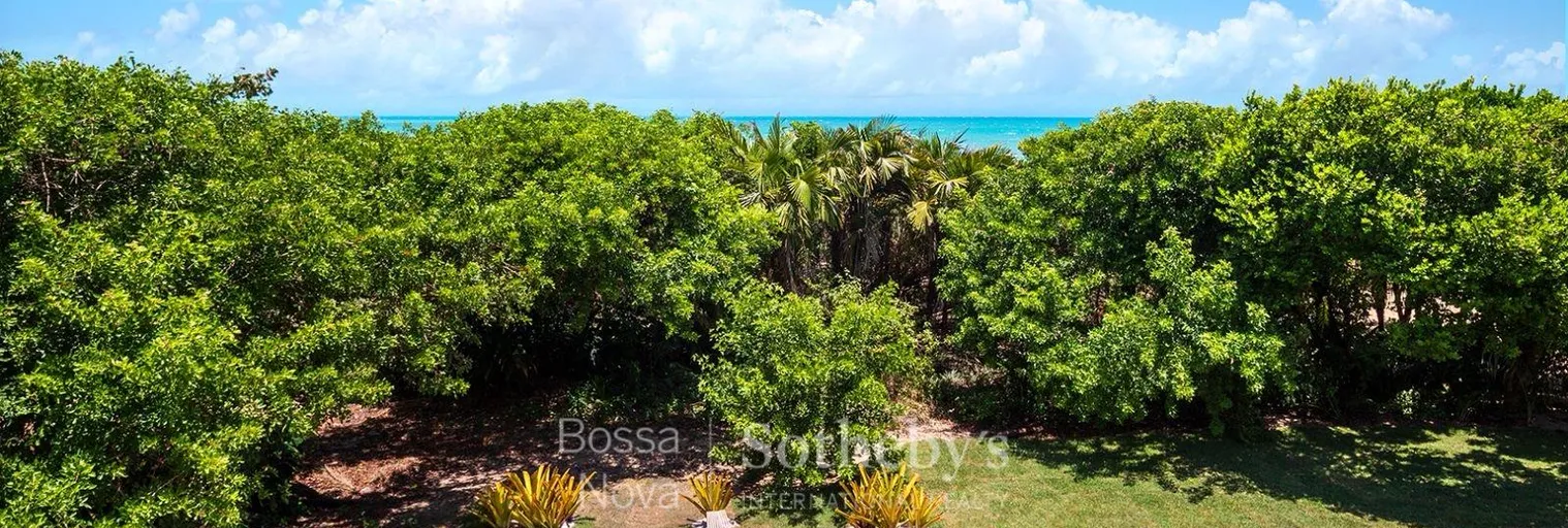 Jardim - Imagem 3